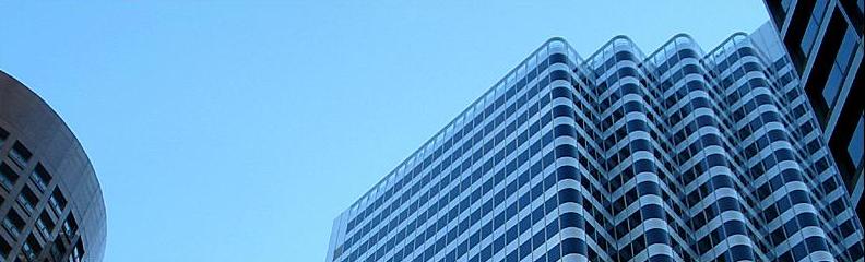 Header Image of Dolphin Software Solutions